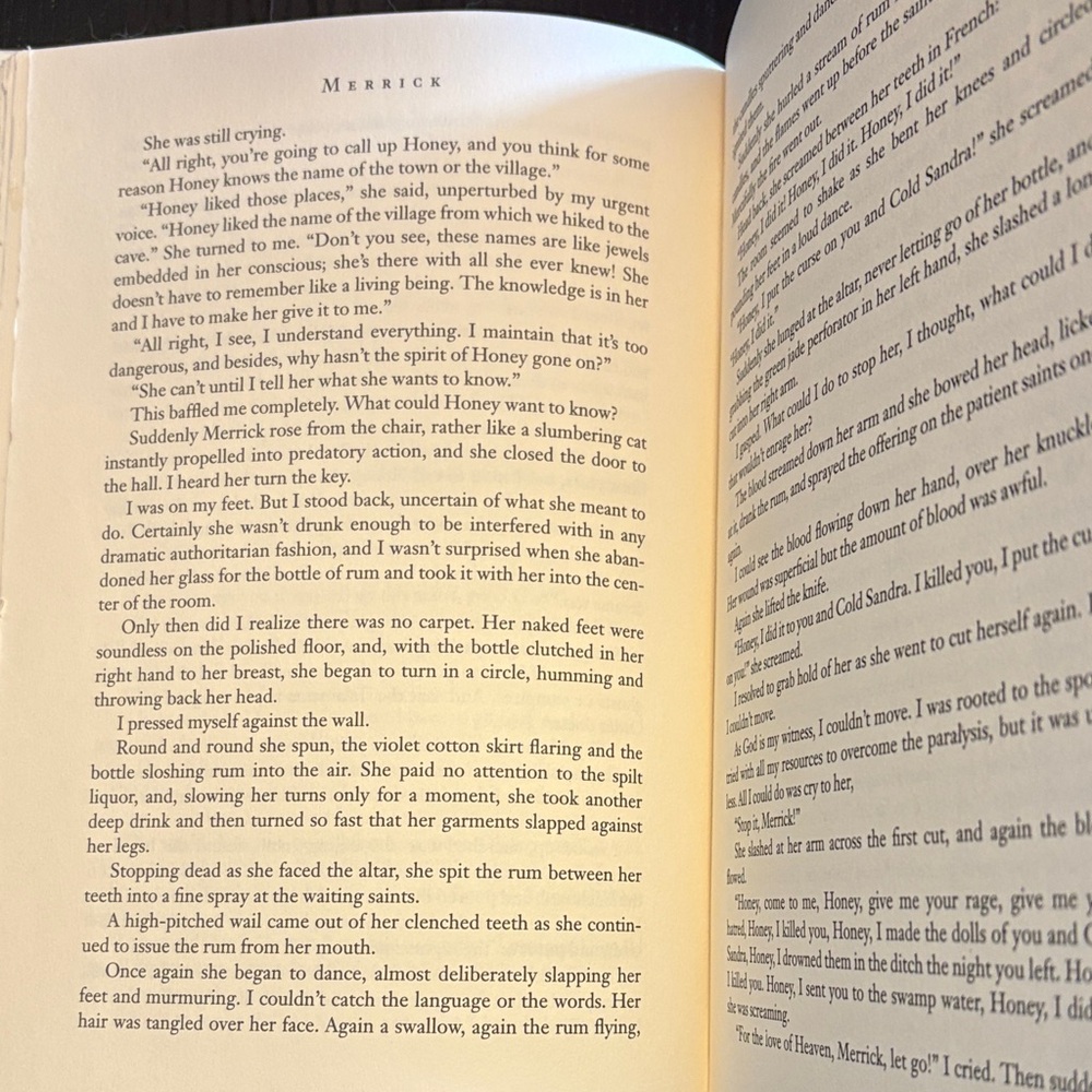 Merrick Hardcover Book by Anne Rice - Picture 5 of 9